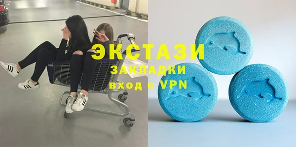 шишки Лабытнанги
