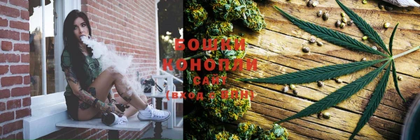 шишки Лабытнанги