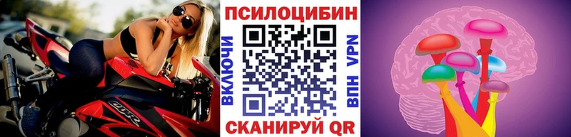 mega ONION  закладки  Новый Уренгой  Псилоцибиновые грибы прущие грибы 