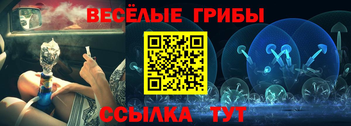 где найти наркотики  Галлюциногенные грибы Psilocybe  Вход с VPN  Новый Уренгой  Псилоцибиновые грибы Cubensis 