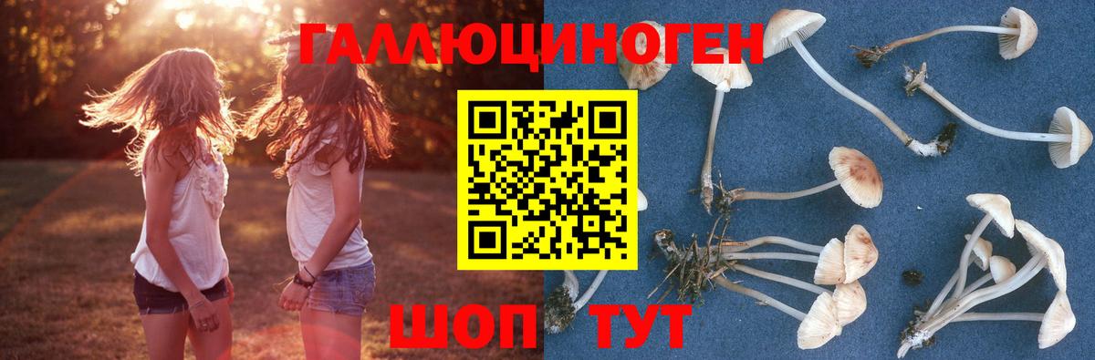 Галлюциногенные грибы мухоморы Новый Уренгой